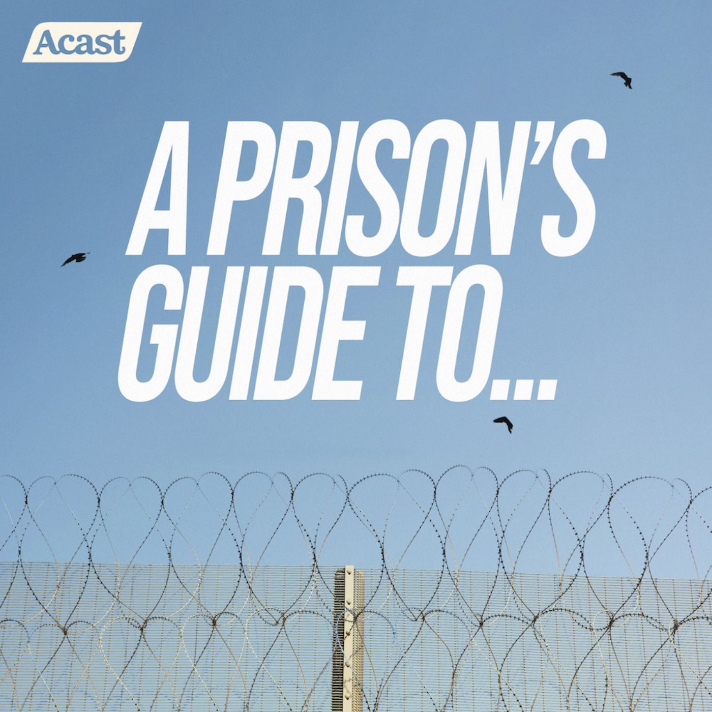 A Prison’s Guide To…