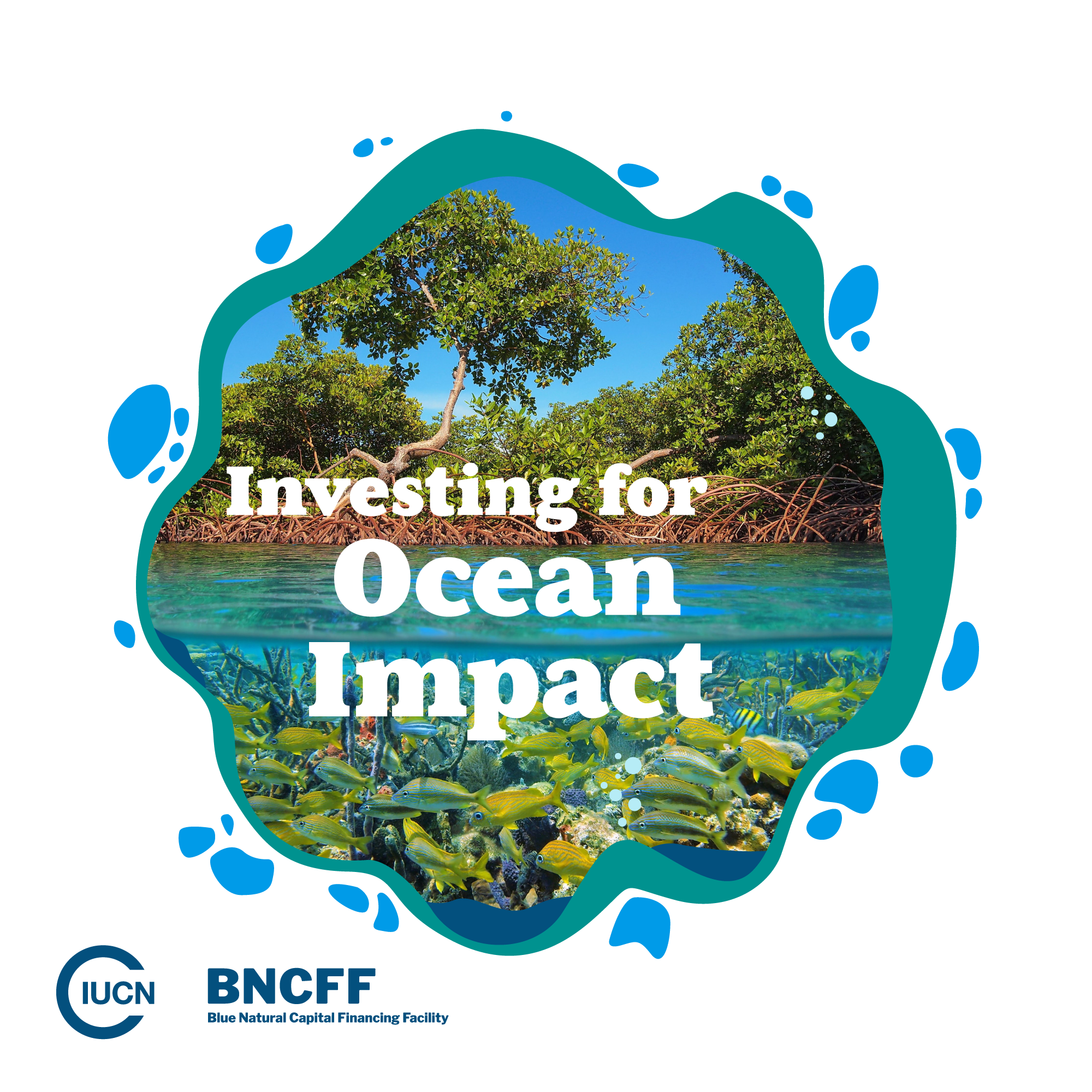 Investing for Ocean Impact