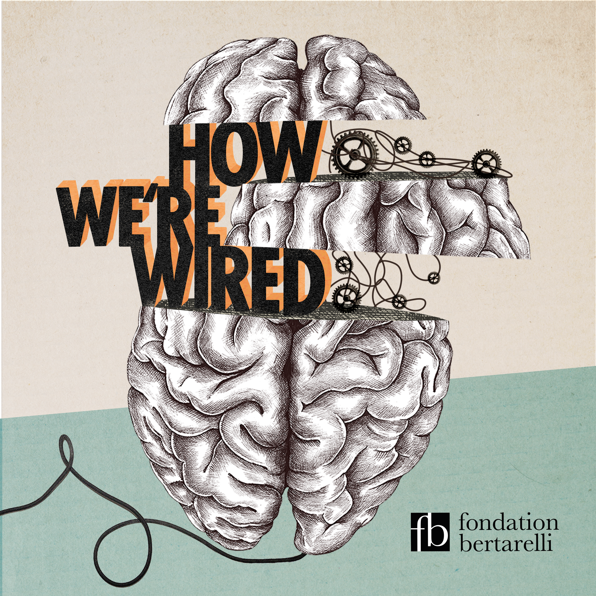 How We’re Wired